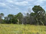 2822 Lott Bottom Road - Photo 6