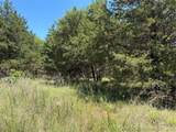  John's Valley Road - Photo 3