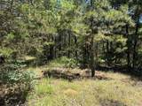  John's Valley Road - Photo 5