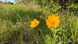  County Road 2265 - Photo 63