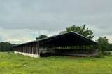 68400 330th Road - Photo 13