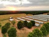 68400 330th Road - Photo 3