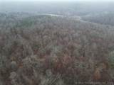 43944 636 Road - Photo 5
