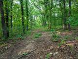  160 Road - Photo 46