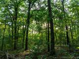  160 Road - Photo 50