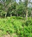 26857 Highway 66 Highway - Photo 4