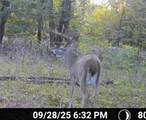  Hwy 167 Street - Photo 27