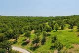242 Patriot Pointe - Photo 9