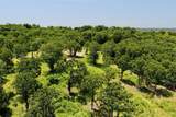 229 Patriot Pointe - Photo 12