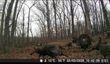 18003 650 Road - Photo 13