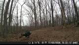 18003 650 Road - Photo 14