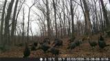 18003 650 Road - Photo 15