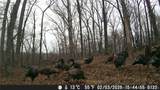 18003 650 Road - Photo 17