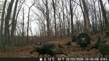18003 650 Road - Photo 18