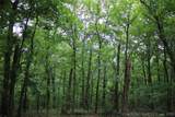 18003 650 Road - Photo 27