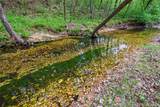 21001 Steely Hollow Road - Photo 4