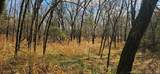 2787 388 - Photo 25