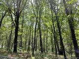  Lakeview Drive - Photo 11