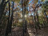 Lakeview Drive - Photo 13