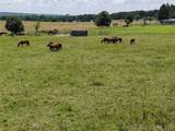  Rural Route - Photo 12
