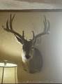 9006 County Road 1650 - Photo 16