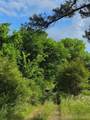 8111 449 Road - Photo 2