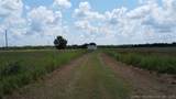  Maple Street - Photo 14