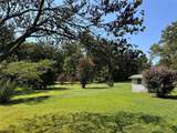 220 Collins - Photo 3