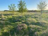 0 Wildflower - Photo 25