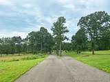 36422 Pine Road - Photo 28
