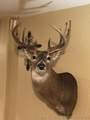  3930 Road - Photo 8