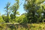  311th Street - Photo 64