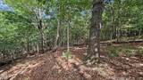 1235 Pheasant Run Road - Photo 10