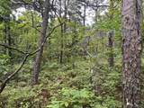  Kiamichi Mountain Ridge - Photo 4