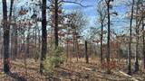 95001 4556 Road - Photo 20