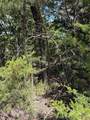 11 Stagecoach Trail - Photo 3