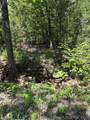 12 Stagecoach Trail - Photo 3