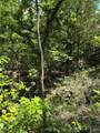 12 Stagecoach Trail - Photo 4