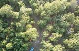  Hickory Lane - Photo 12