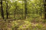  145th Avenue - Photo 34