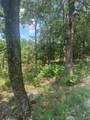 18121 Running Springs Road - Photo 5