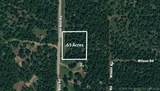 19 Dozer Bend Road - Photo 1