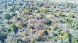 Tamaha - Photo 4