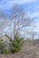  Tamaha - Photo 12