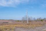  Tamaha - Photo 13