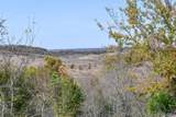 Tamaha - Photo 15