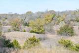  Tamaha - Photo 17