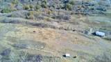  Tamaha - Photo 21