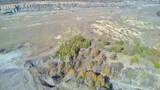  Tamaha - Photo 22