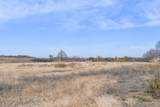  Tamaha - Photo 6